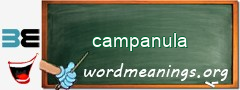 WordMeaning blackboard for campanula